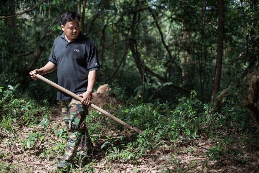 Как охотятся на тарантулов в Камбодже (10 фото)