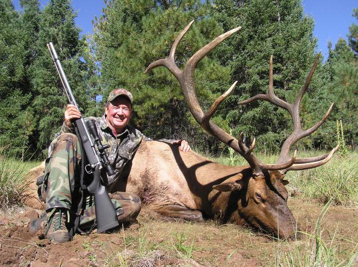 Охота на изюбря