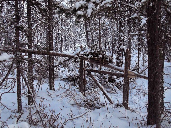 Готовый капкан