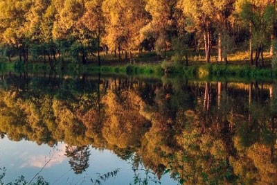 Пруд в парке