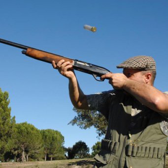 охота на голубей